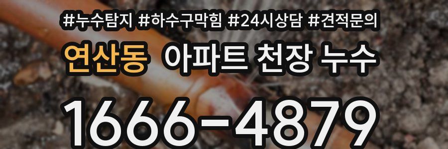 연산동 아파트 천장 누수