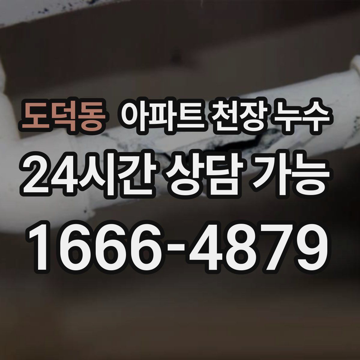 도덕동 아파트 천장 누수