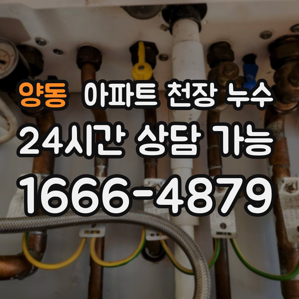 양동 아파트 천장 누수