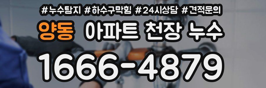 양동 아파트 천장 누수