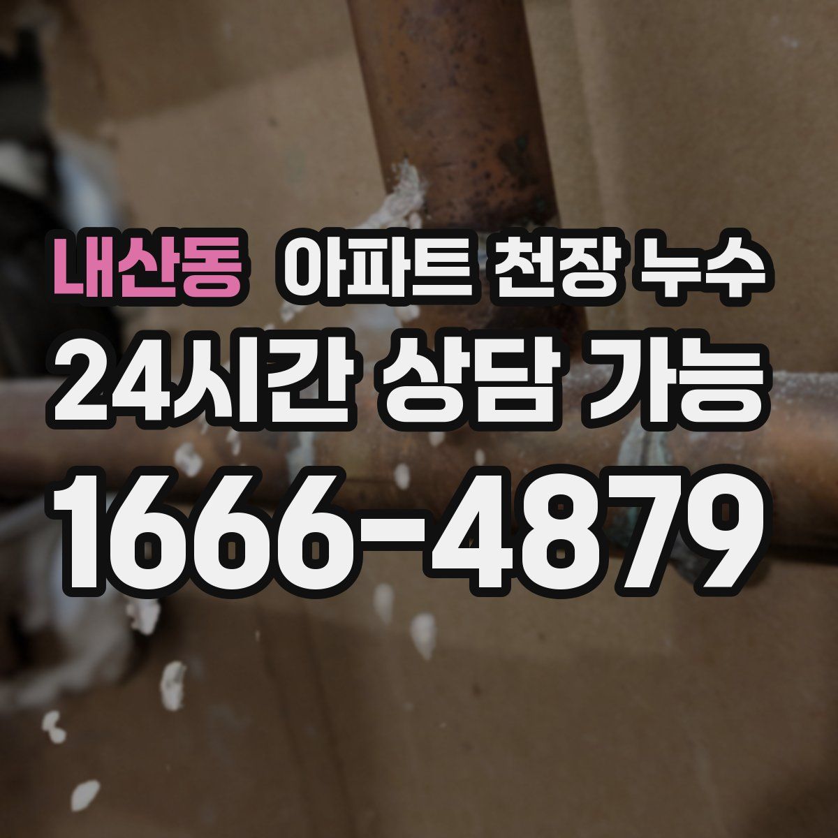내산동 아파트 천장 누수