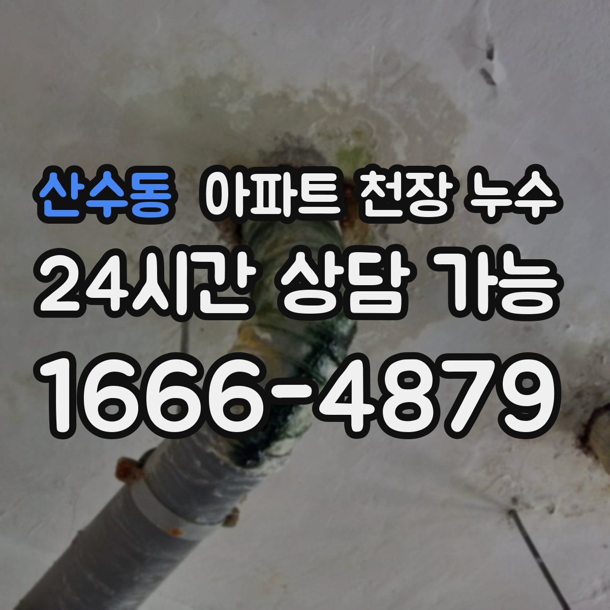 산수동 아파트 천장 누수