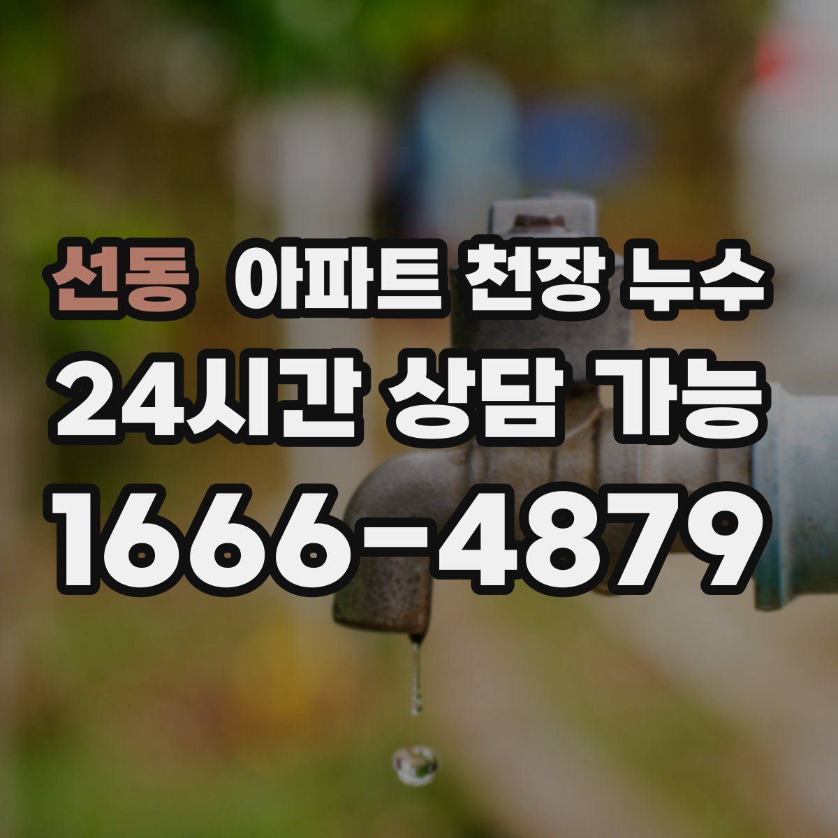 선동 아파트 천장 누수