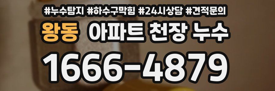왕동 아파트 천장 누수