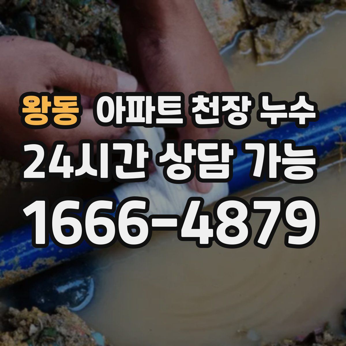 왕동 아파트 천장 누수