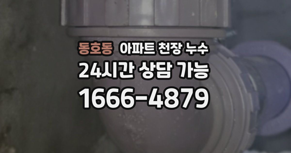 동호동 아파트 천장 누수