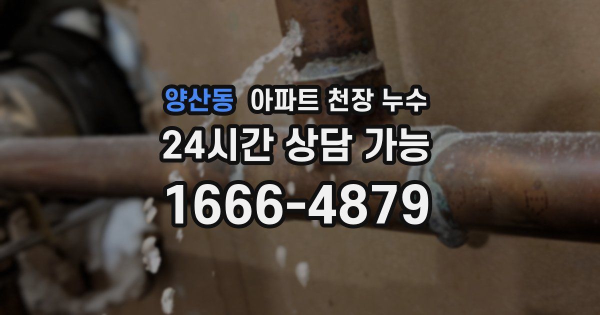 양산동 아파트 천장 누수