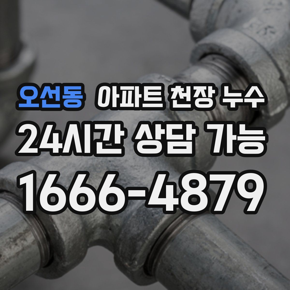 오선동 아파트 천장 누수