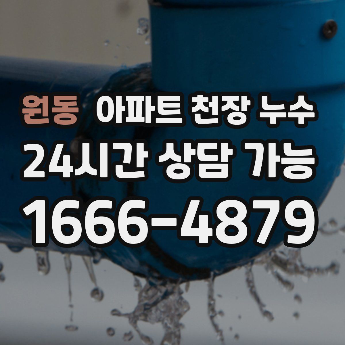 원동 아파트 천장 누수