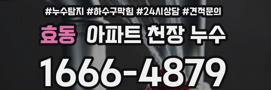 효동 아파트 천장 누수
