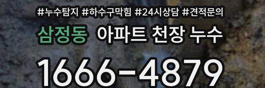 삼정동 아파트 천장 누수