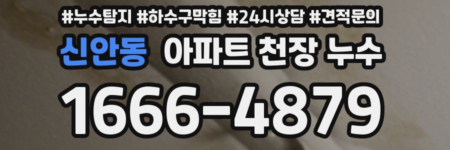 신안동 아파트 천장 누수