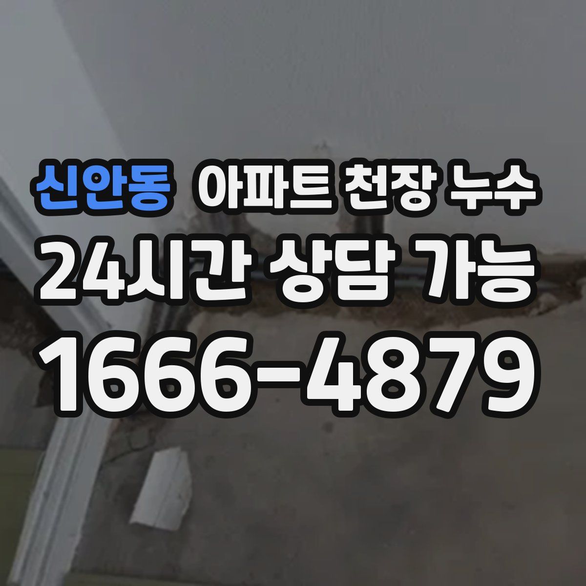 신안동 아파트 천장 누수