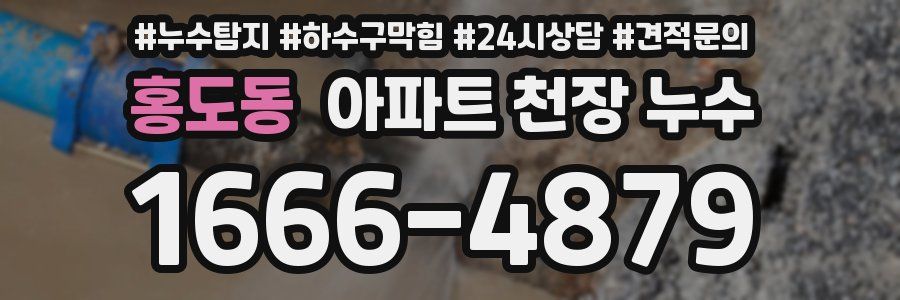 홍도동 아파트 천장 누수