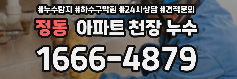 정동 아파트 천장 누수