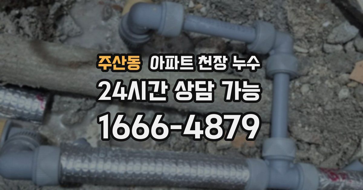 주산동 아파트 천장 누수