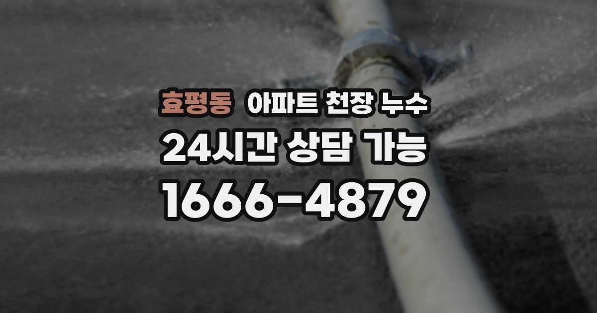 효평동 아파트 천장 누수