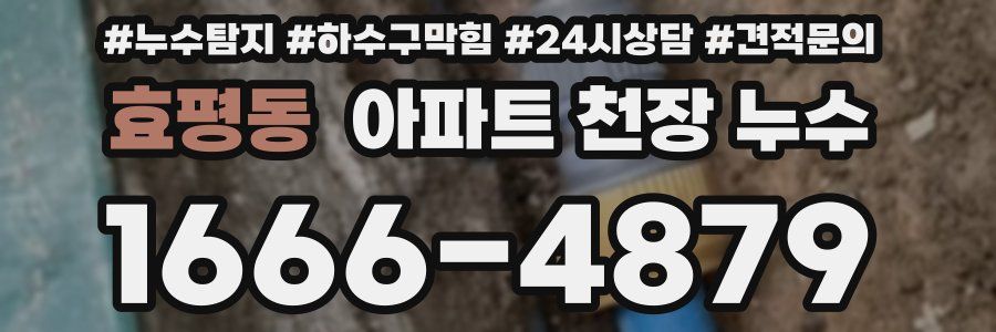 효평동 아파트 천장 누수