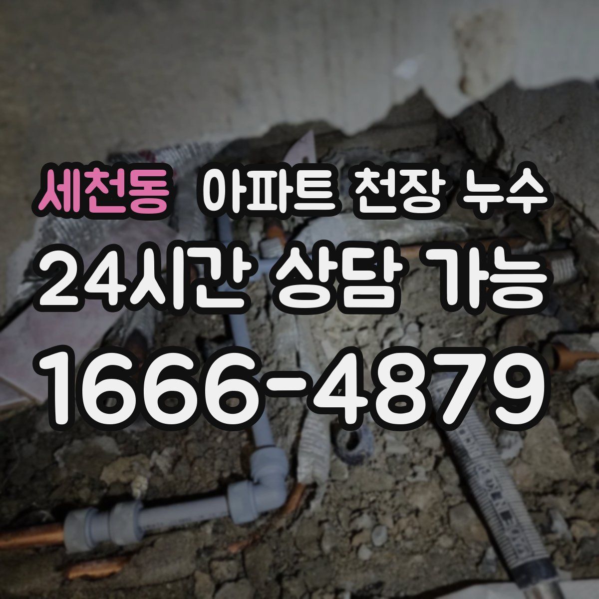 세천동 아파트 천장 누수