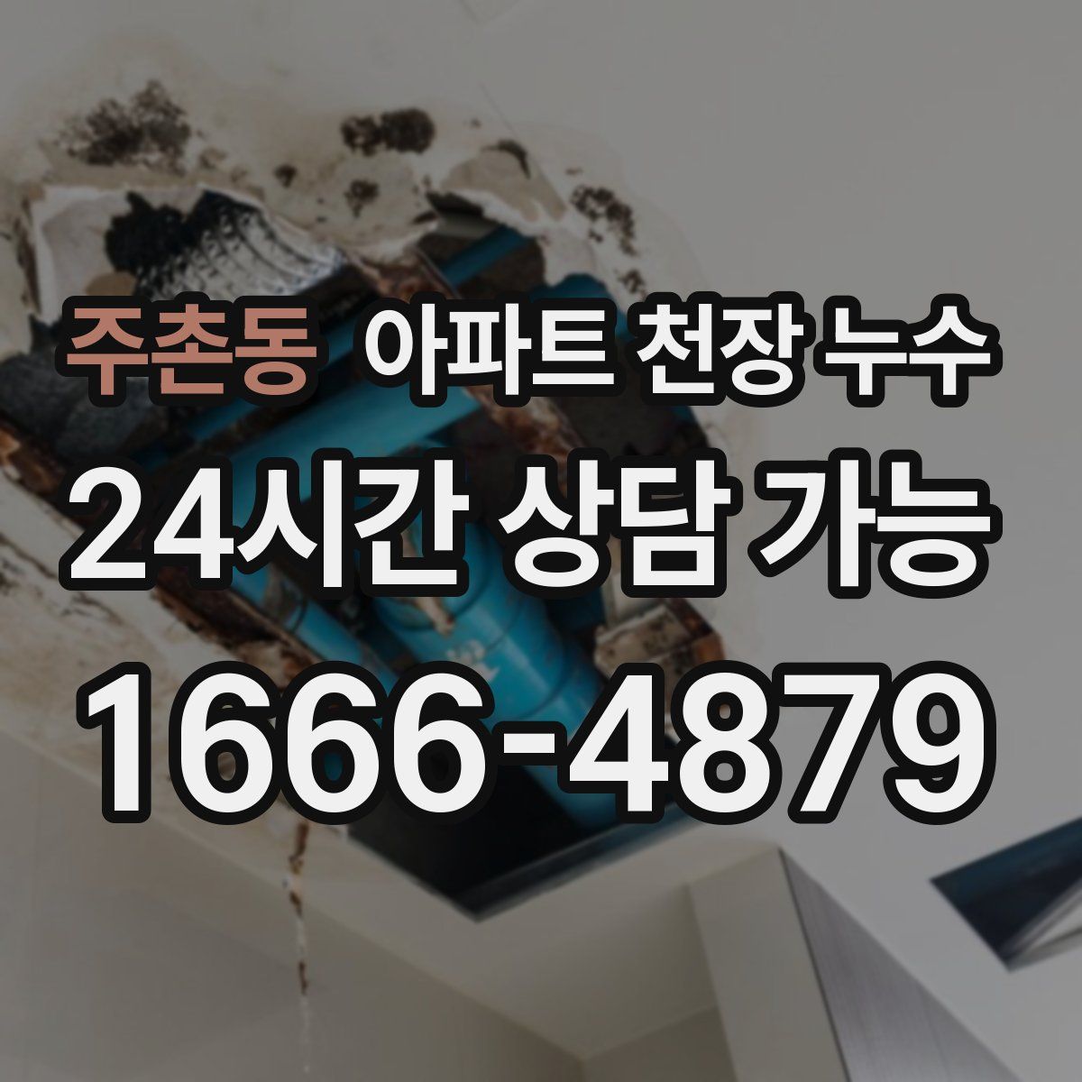주촌동 아파트 천장 누수