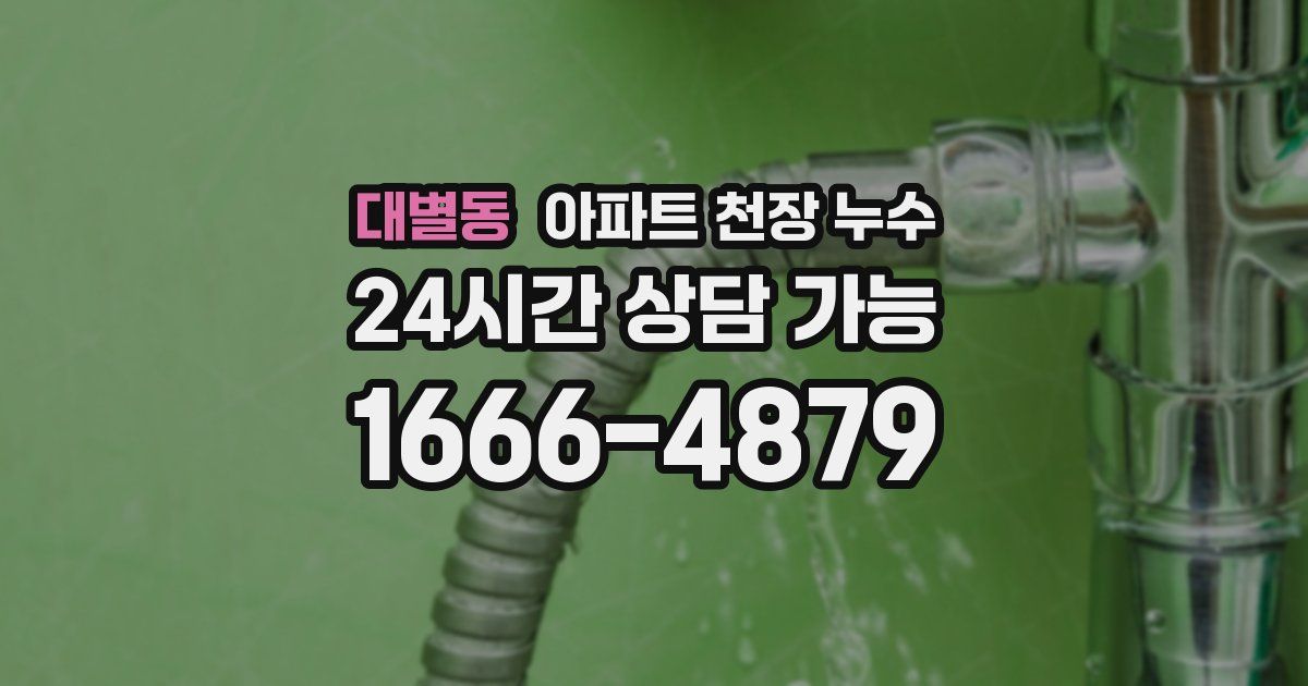 대별동 아파트 천장 누수