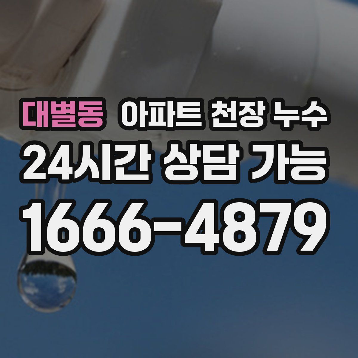 대별동 아파트 천장 누수