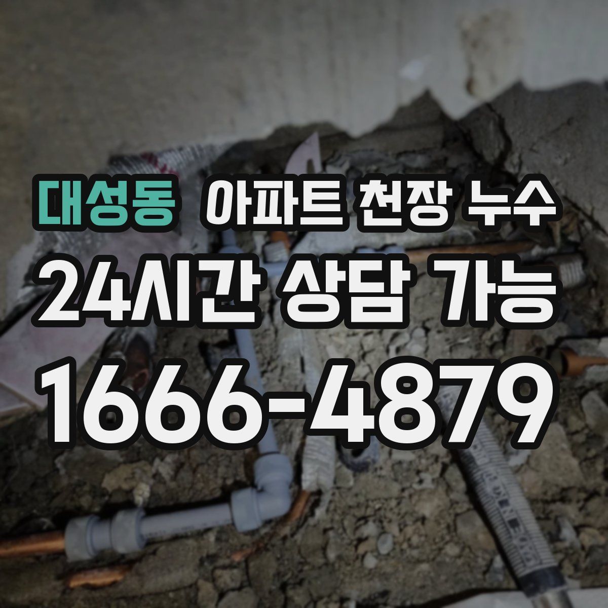 대성동 아파트 천장 누수
