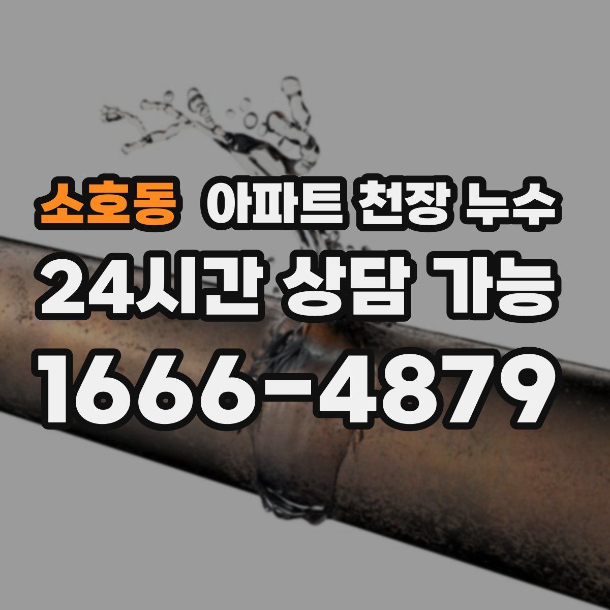 소호동 아파트 천장 누수