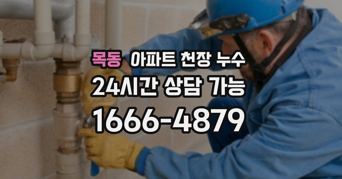 목동 아파트 천장 누수