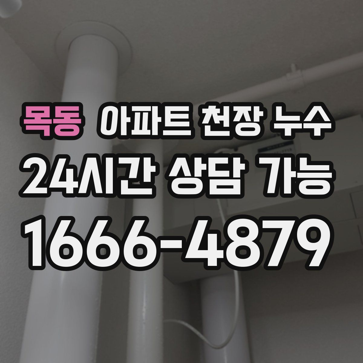 목동 아파트 천장 누수