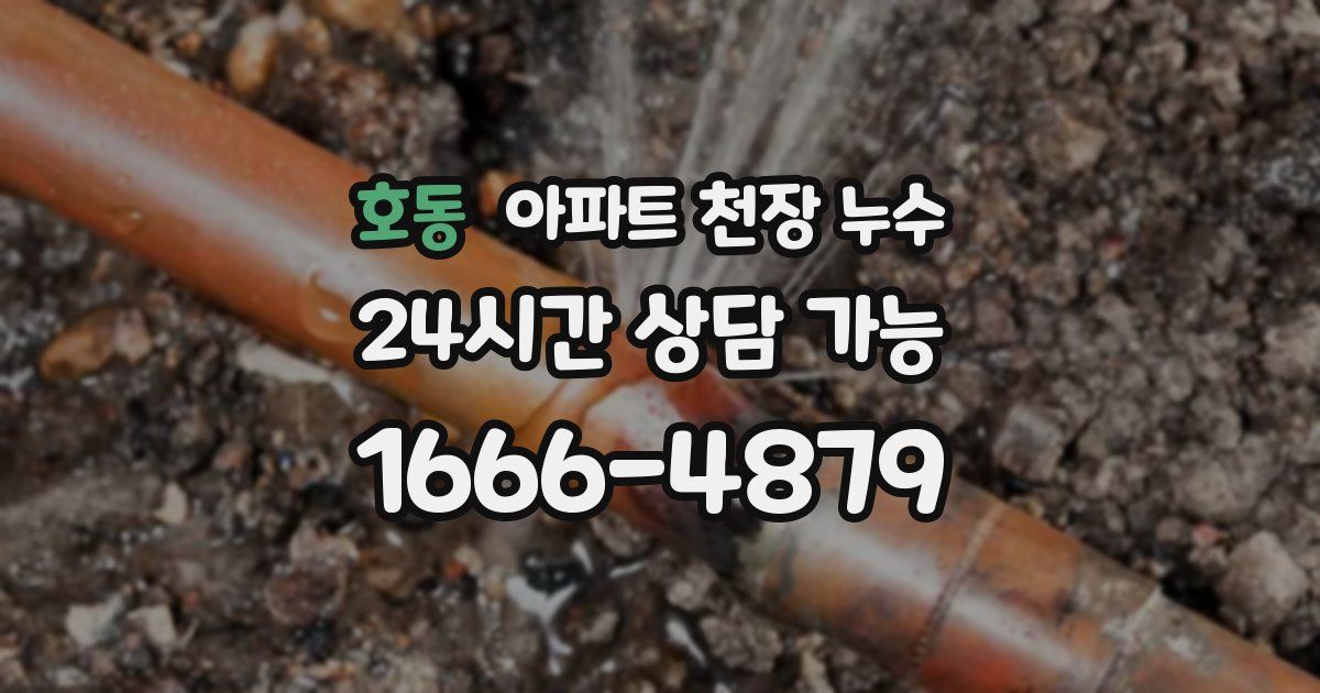 호동 아파트 천장 누수