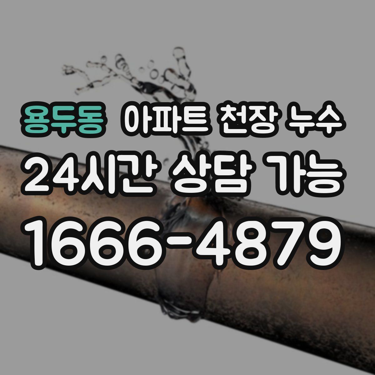 용두동 아파트 천장 누수
