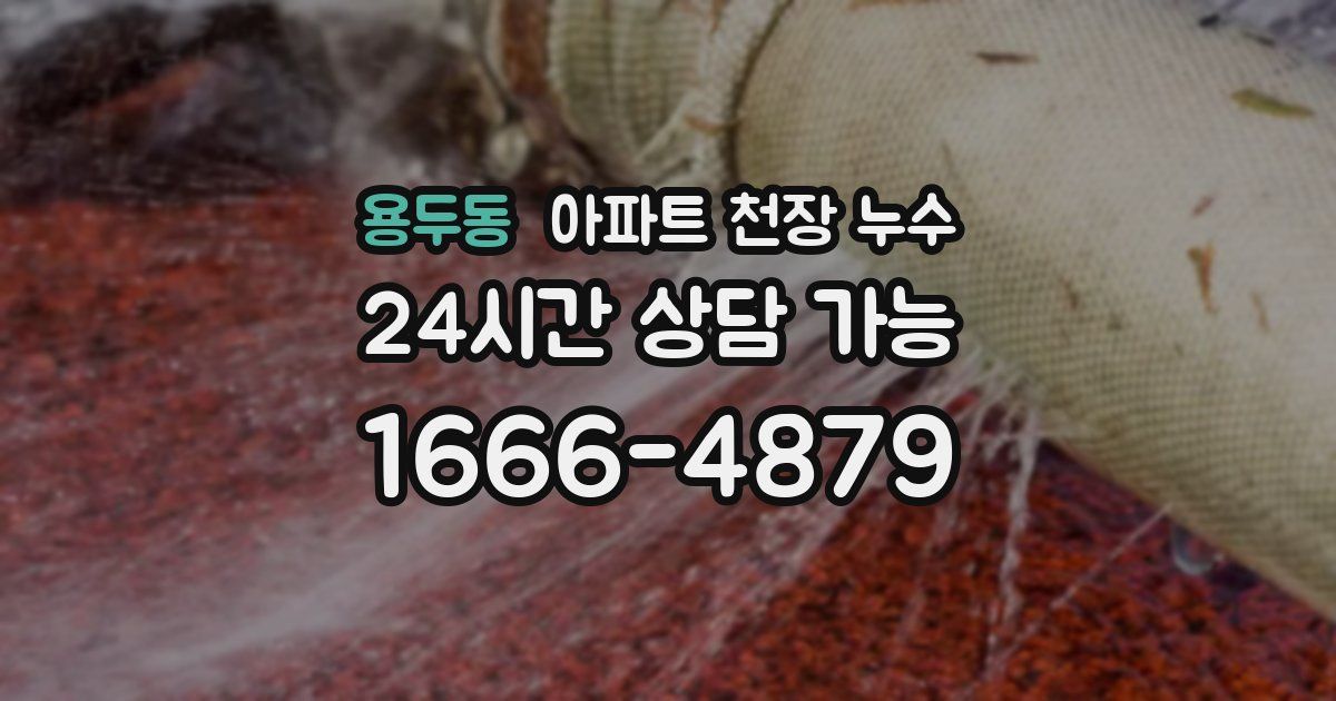 용두동 아파트 천장 누수