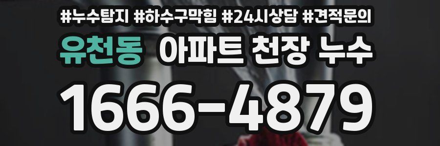 유천동 아파트 천장 누수