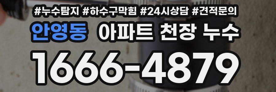 안영동 아파트 천장 누수