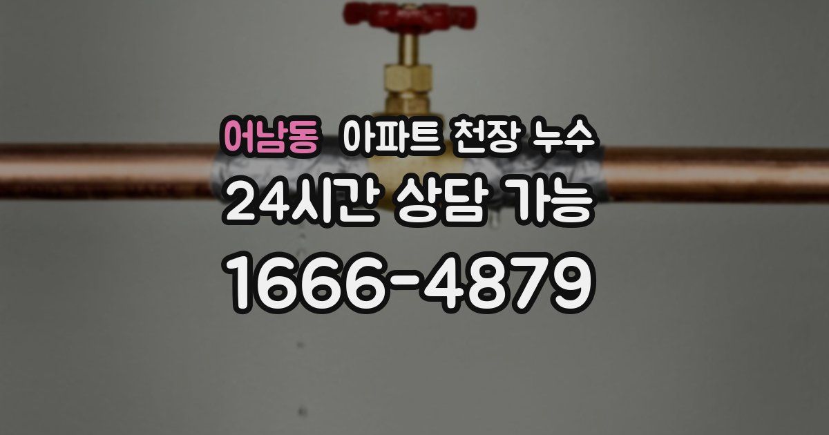 어남동 아파트 천장 누수