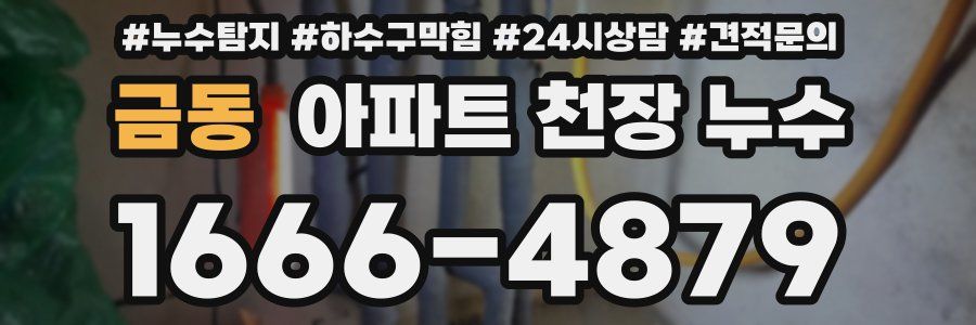 금동 아파트 천장 누수