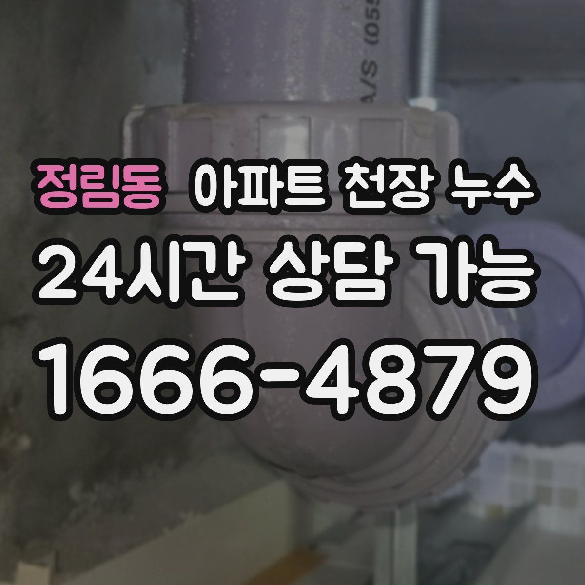 정림동 아파트 천장 누수