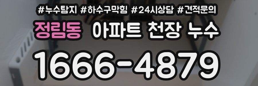 정림동 아파트 천장 누수