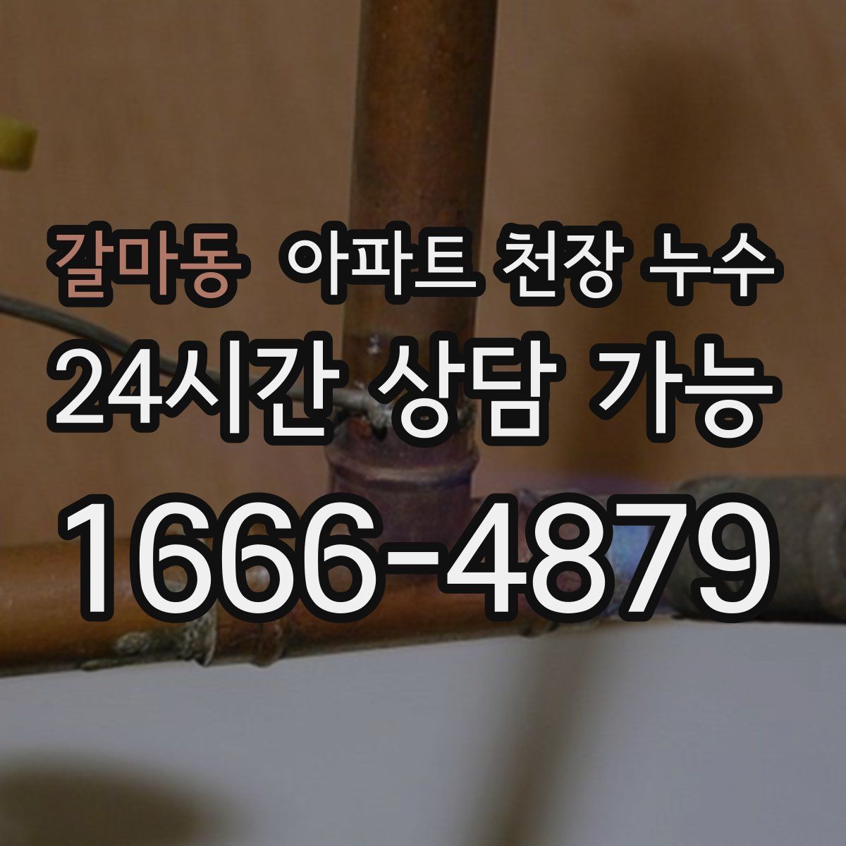 갈마동 아파트 천장 누수