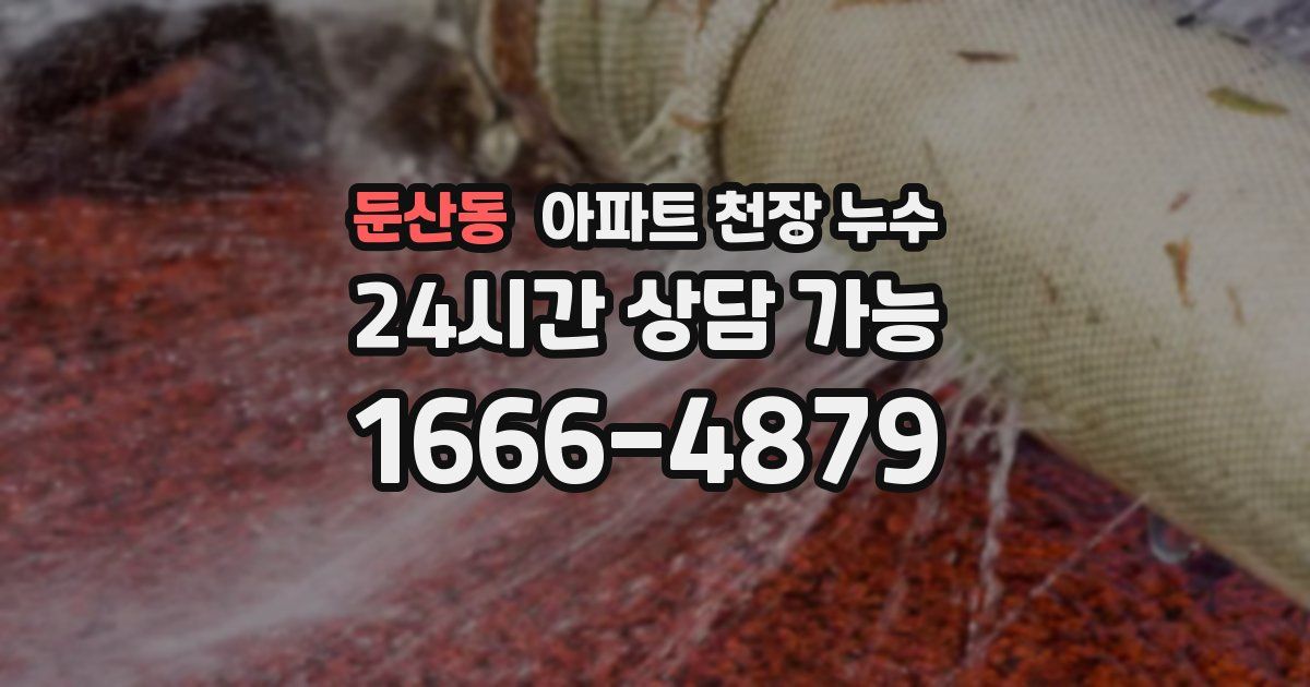 둔산동 아파트 천장 누수