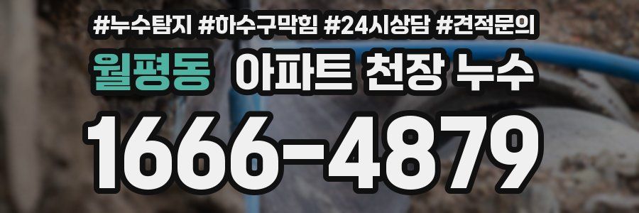 월평동 아파트 천장 누수