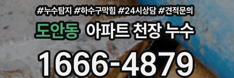 도안동 아파트 천장 누수