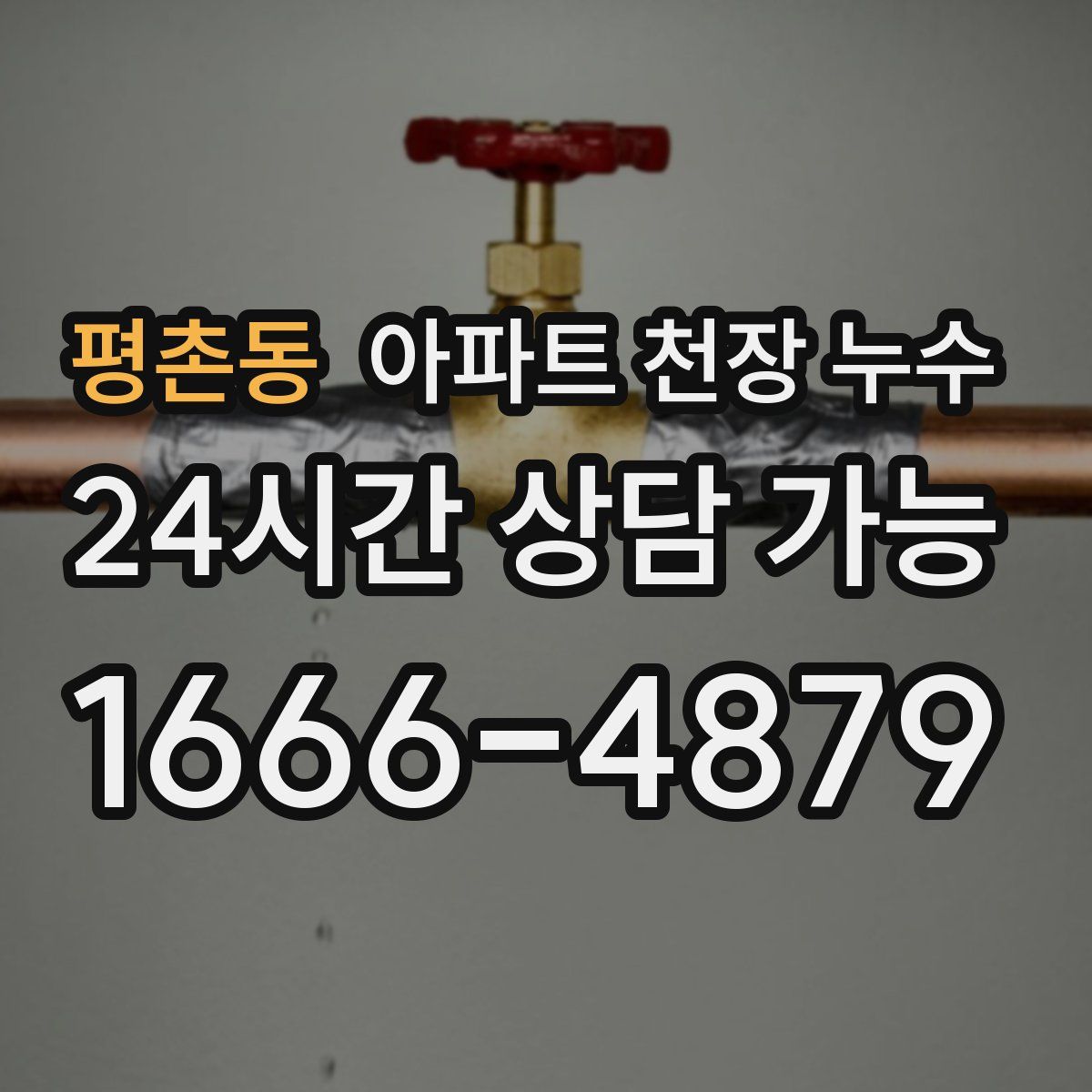 평촌동 아파트 천장 누수