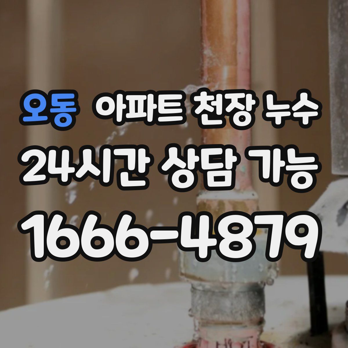오동 아파트 천장 누수