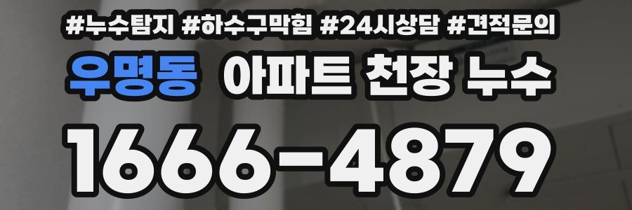 우명동 아파트 천장 누수
