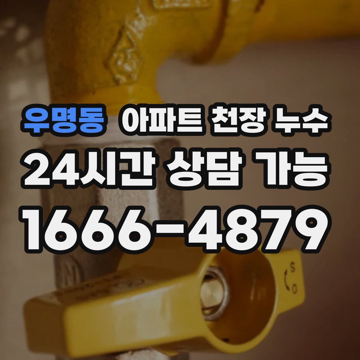 우명동 아파트 천장 누수