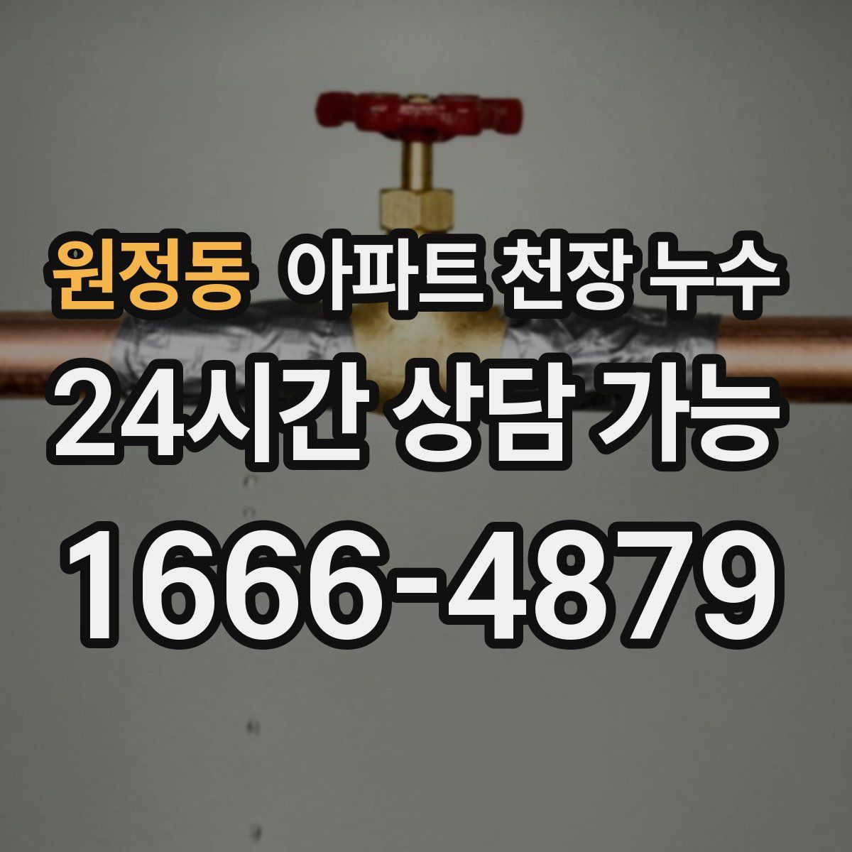 원정동 아파트 천장 누수