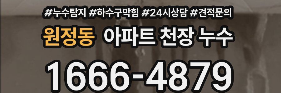 원정동 아파트 천장 누수