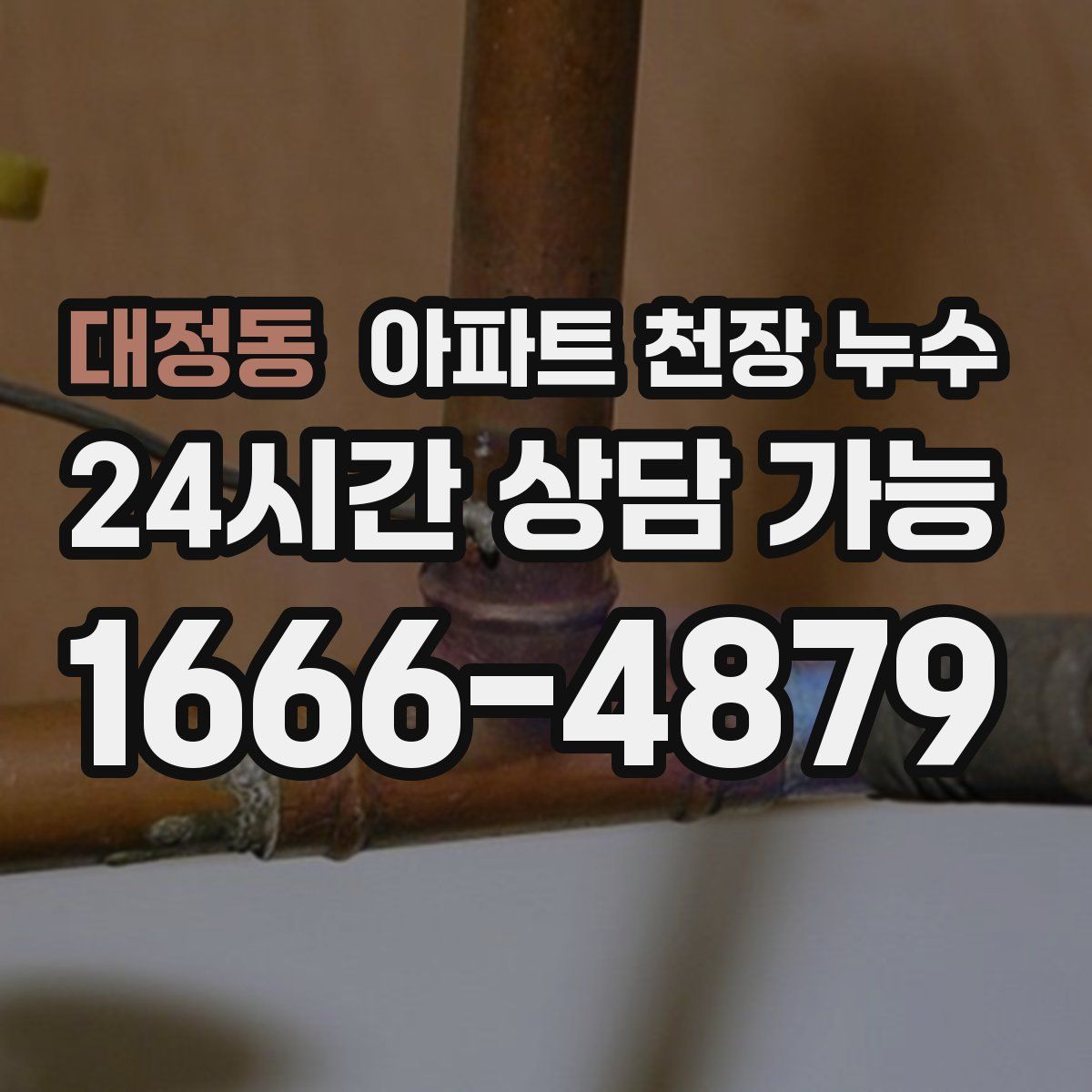 대정동 아파트 천장 누수